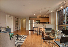 CAPITOL HILL CONDO